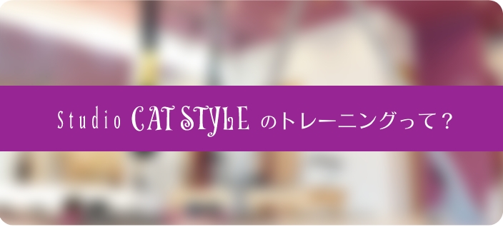 スタジオキャットスタイルのトレーニングって？
